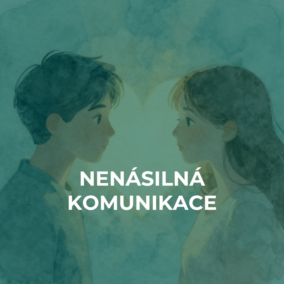 Nenásilná komunikace