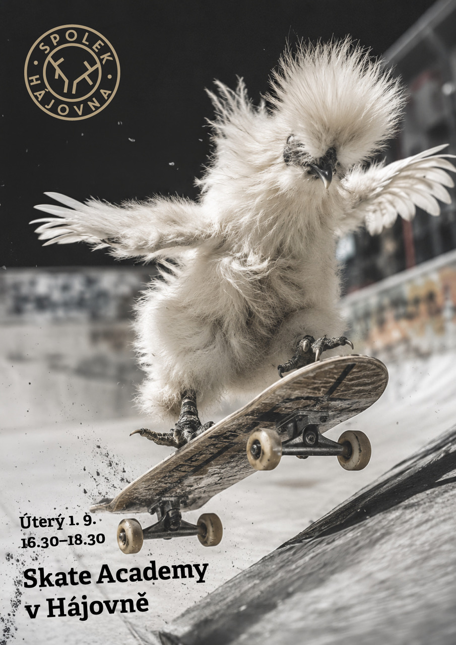 Himalájské mísy Skate academy v Hájovně